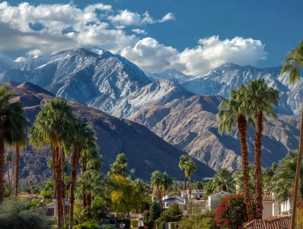 Palm Desert Tax Resolution Accountant Compressed