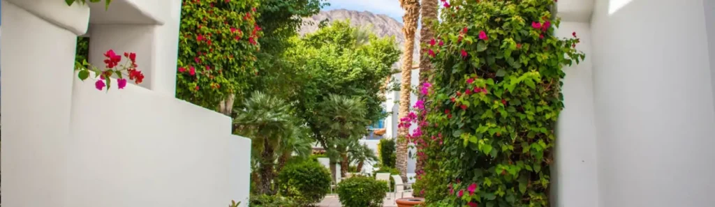 Tax Resolution Accountant La Quinta Compressed
