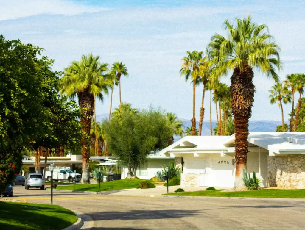 Palm trees lining a street in Indian Wells neighborhood with mountains in the background